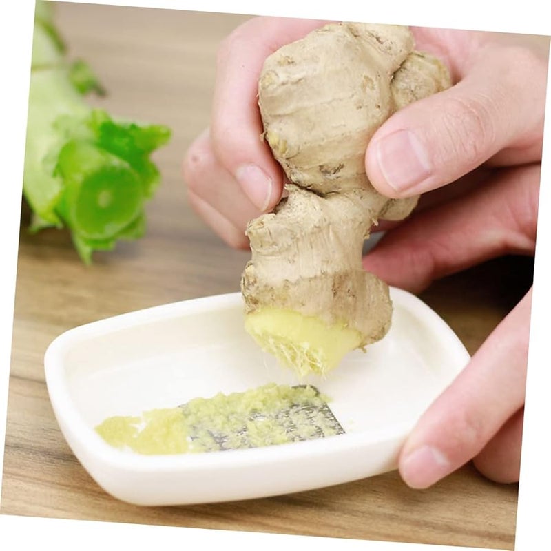 Stainless Steel Ginger Garlic Grater Portable Multi Purpose Grinder Easy Clean - Image 3